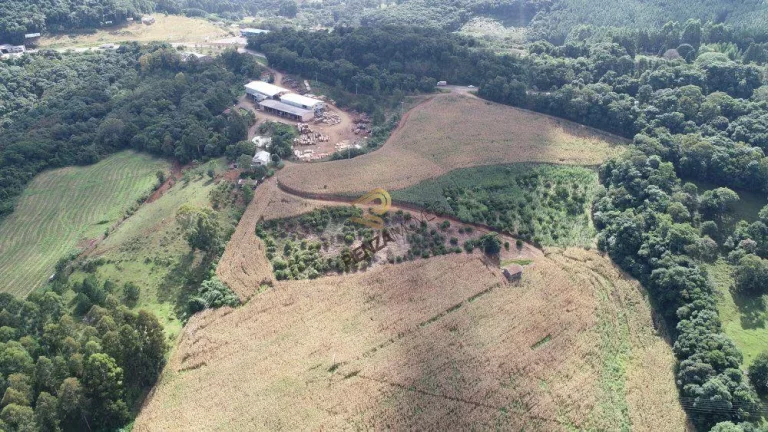 Imagem Terreno para Venda em Concórdia, Cachimbo
