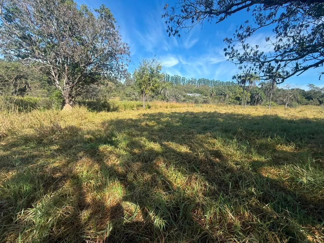 Imagem FAZENDA À VENDA EM CARMÓPOLIS DE MINAS /Área total: 315 hectares