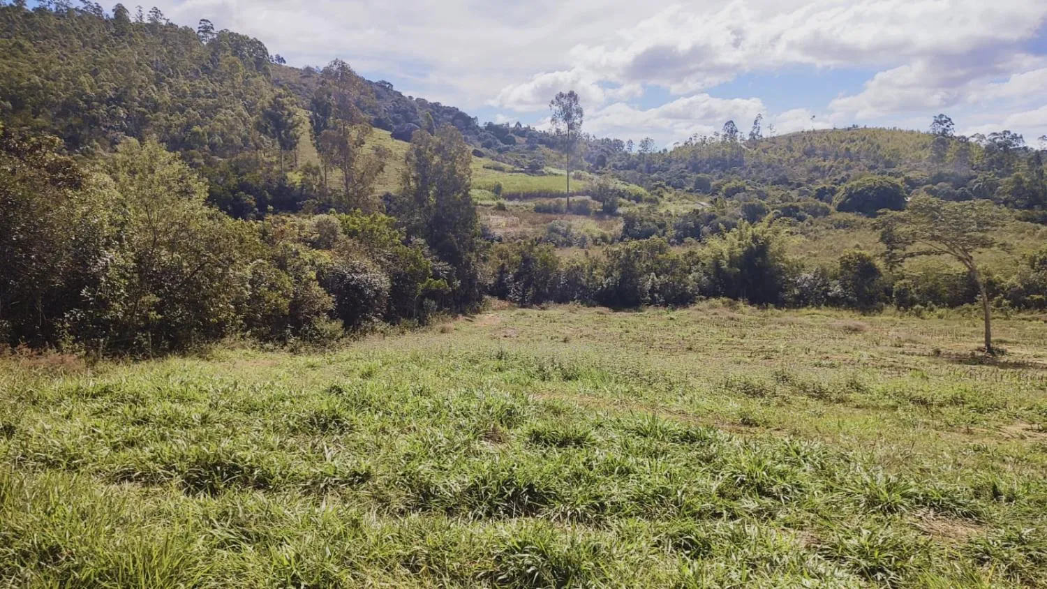 Imagem Excelente Terreno à Venda em Desterro de Entre Rios: 15 Hectares Totalmente Plano