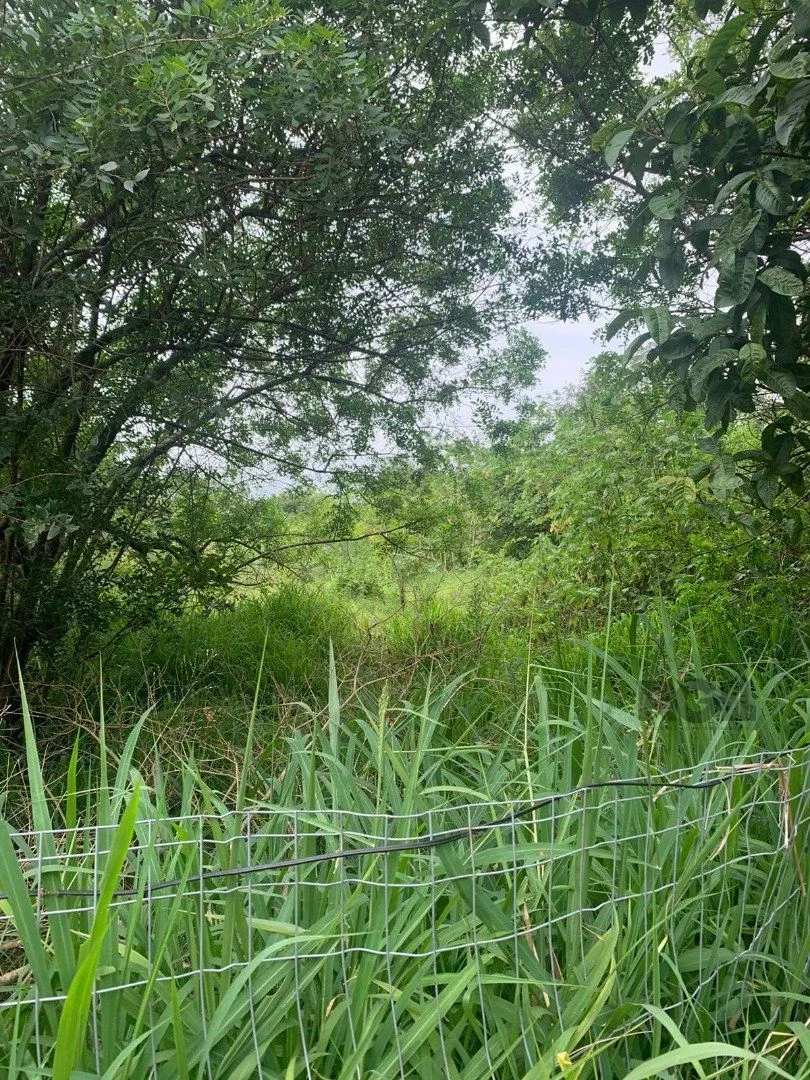 Imagem Terreno em Belém Novo