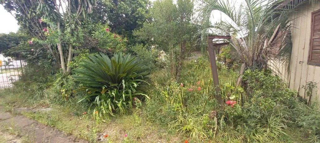 Imagem Terreno em Vila Nova