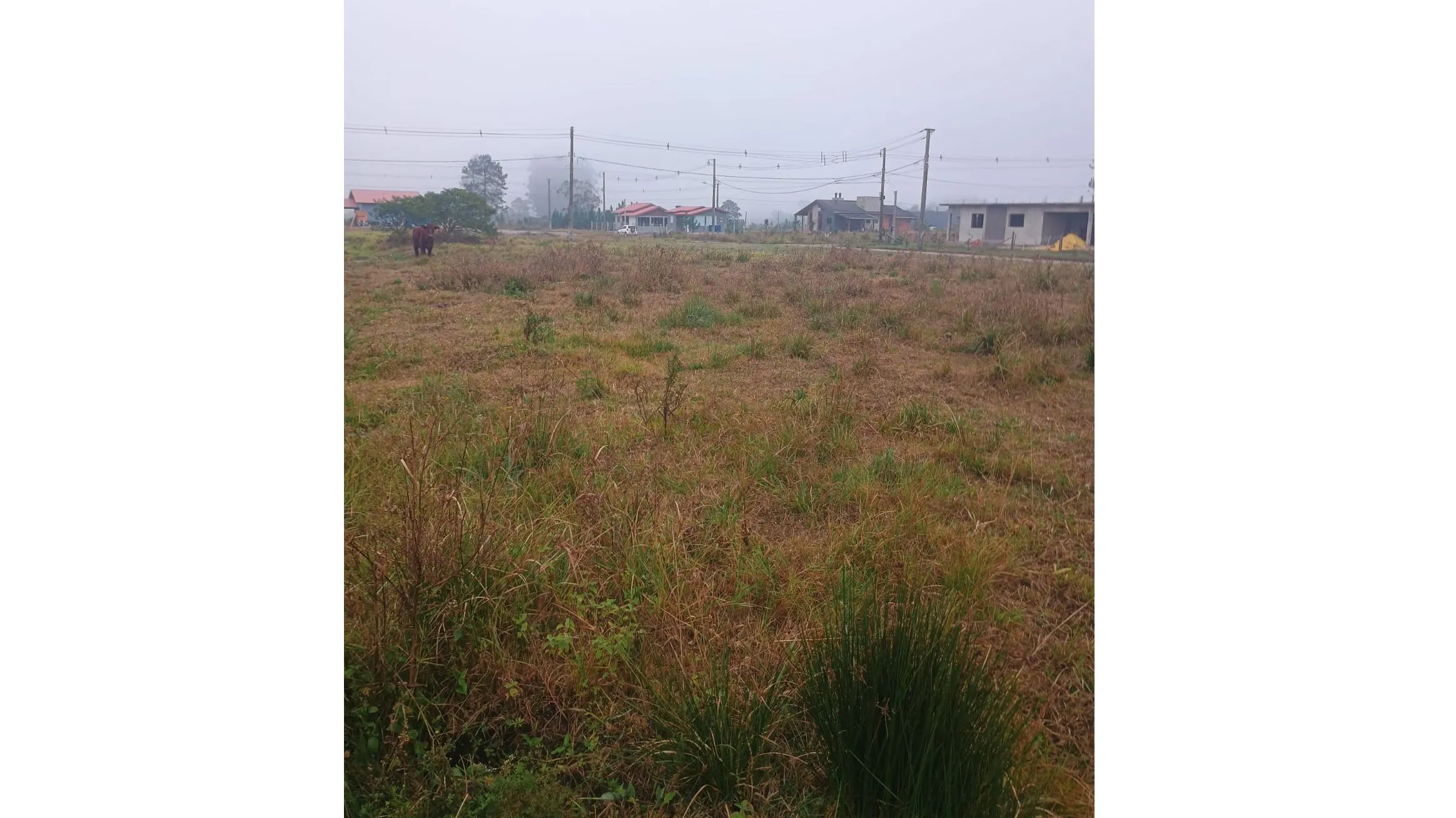 Foto do imóvel Terreno à venda em Torres, Vila São João, 360m2