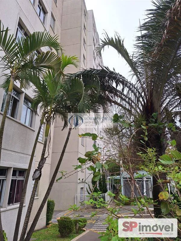 Imagem Apartamento com 3 dormitórios 1 vaga no Jardim Santa Terezinha .