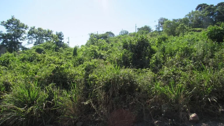 Foto do imóvel Terreno para Venda em Concórdia, Colibri em Concordia Sc