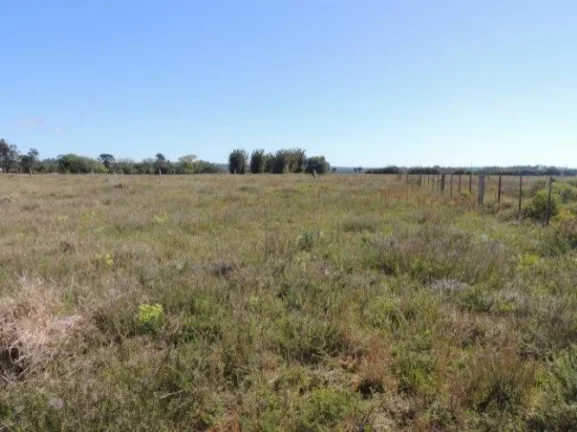 Imagem Terreno residencial fora de condomínio, Morro Grande / Viamão