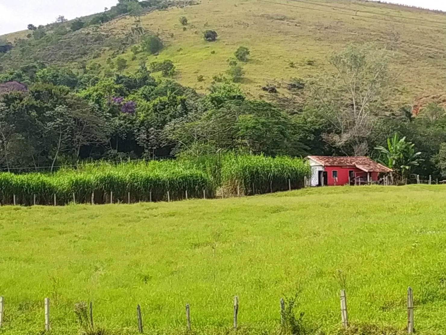 Imagem Chácara à venda 170000M², Bom Sucesso, Pindamonhangaba - SP