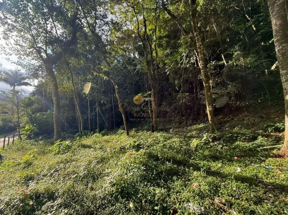 Imagem Terreno para Venda em Teresópolis / RJ no bairro Albuquerque