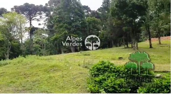 Imagem Oportunidade para Investidores Terreno à venda em Canela/RS