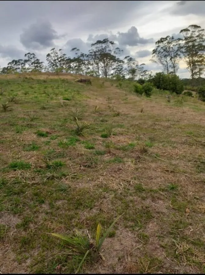 Imagem Terreno para Venda em Ribeirão Pires / SP no bairro Quarta Divisão