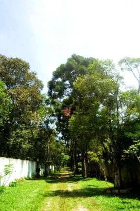 Imagem Chácara com 3 dormitórios à venda, 5787 m² por R$ 1.800.000,00 - Jardim Tupã - São Bernardo do Campo/SP