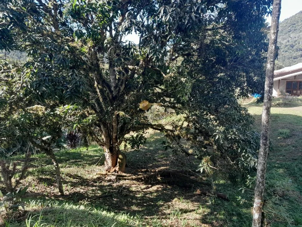 Imagem Terreno para Venda em Teresópolis / RJ no bairro Prata dos Aredes