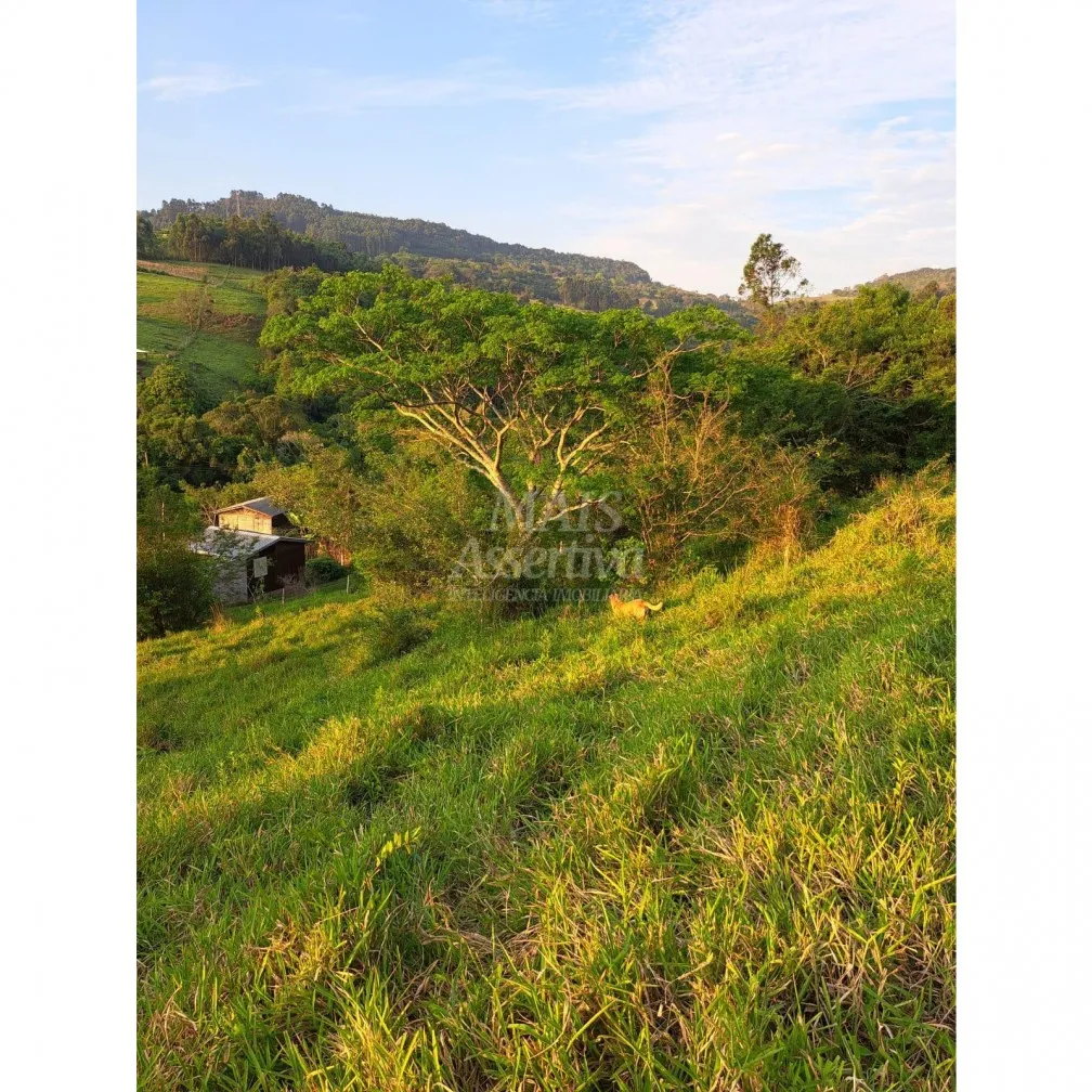 Imagem Santo Antônio da Patrulha RS - Localidade de Pinheirinhos.
R$ 270.300,00 A que busca uma área...