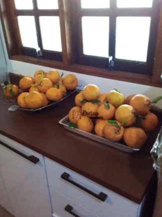 Imagem Chácara com 3 dormitórios à venda, 2770 m² por R$ 1.350.000 - Três Lagos - Piracaia/SP
