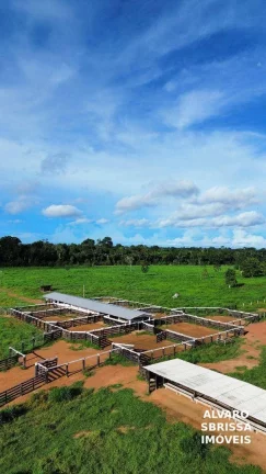 Imagem Vende/Permuta - Fazenda 390 Alqueires com Estrutura Completa a 120km de Porto Velho/RO