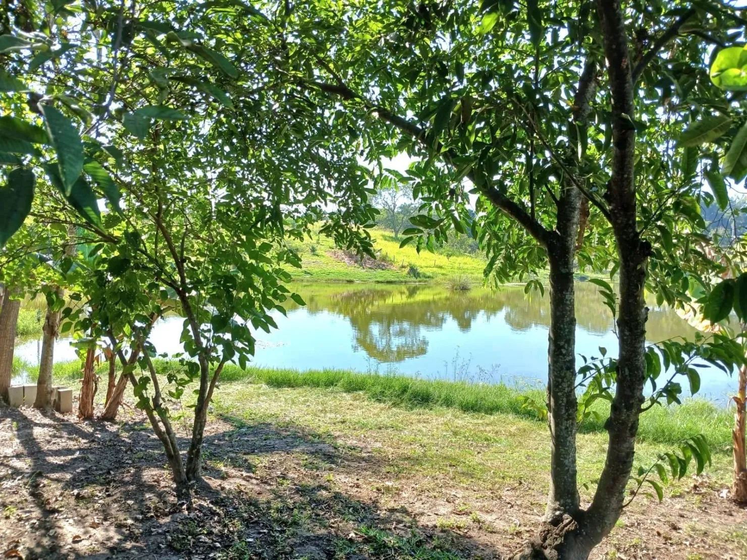 Imagem Chácara à venda e locação 3 Quartos, 3950M², Goiabal, Pindamonhangaba - SP
