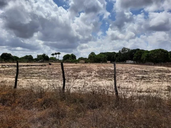 Imagem Granja para Venda em Macaíba, Centro