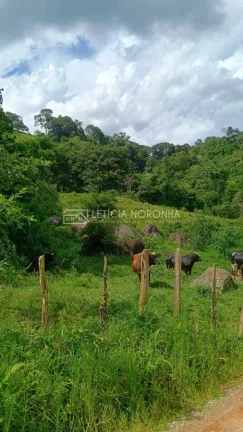 Imagem Terreno à Venda