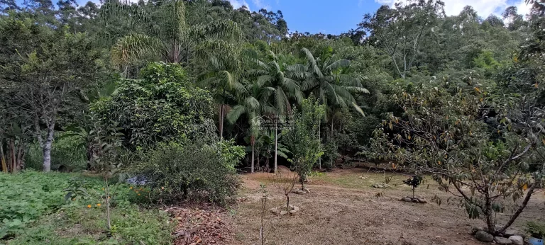 Imagem Sítio a venda, Com casa e lagoa de peixes, e riacho atravessado o terreno a 300 metros da SC 108. Boa área de 4.000m² de plantio com terra boa,