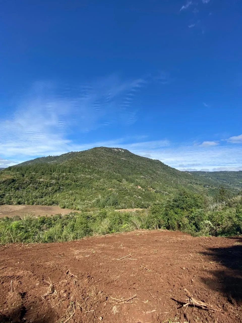 Imagem Chácara à venda em Caxias do Sul, Santa Lúcia do Piaí, 103471.89m2