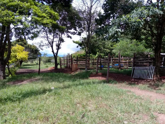 Imagem Chácara com 2 Quartos à Venda, 25.000 m²em Vila Favorino - Caçapava