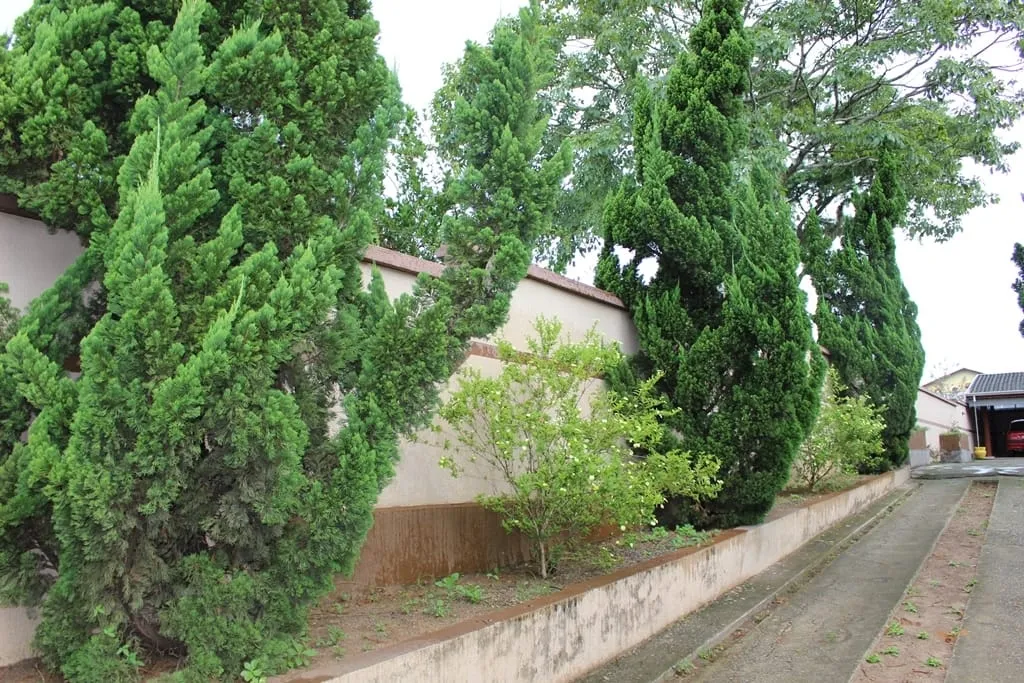 Imagem Casa à venda 6 Quartos, 2 Suites, 1256.52M², Santana, Pindamonhangaba - SP