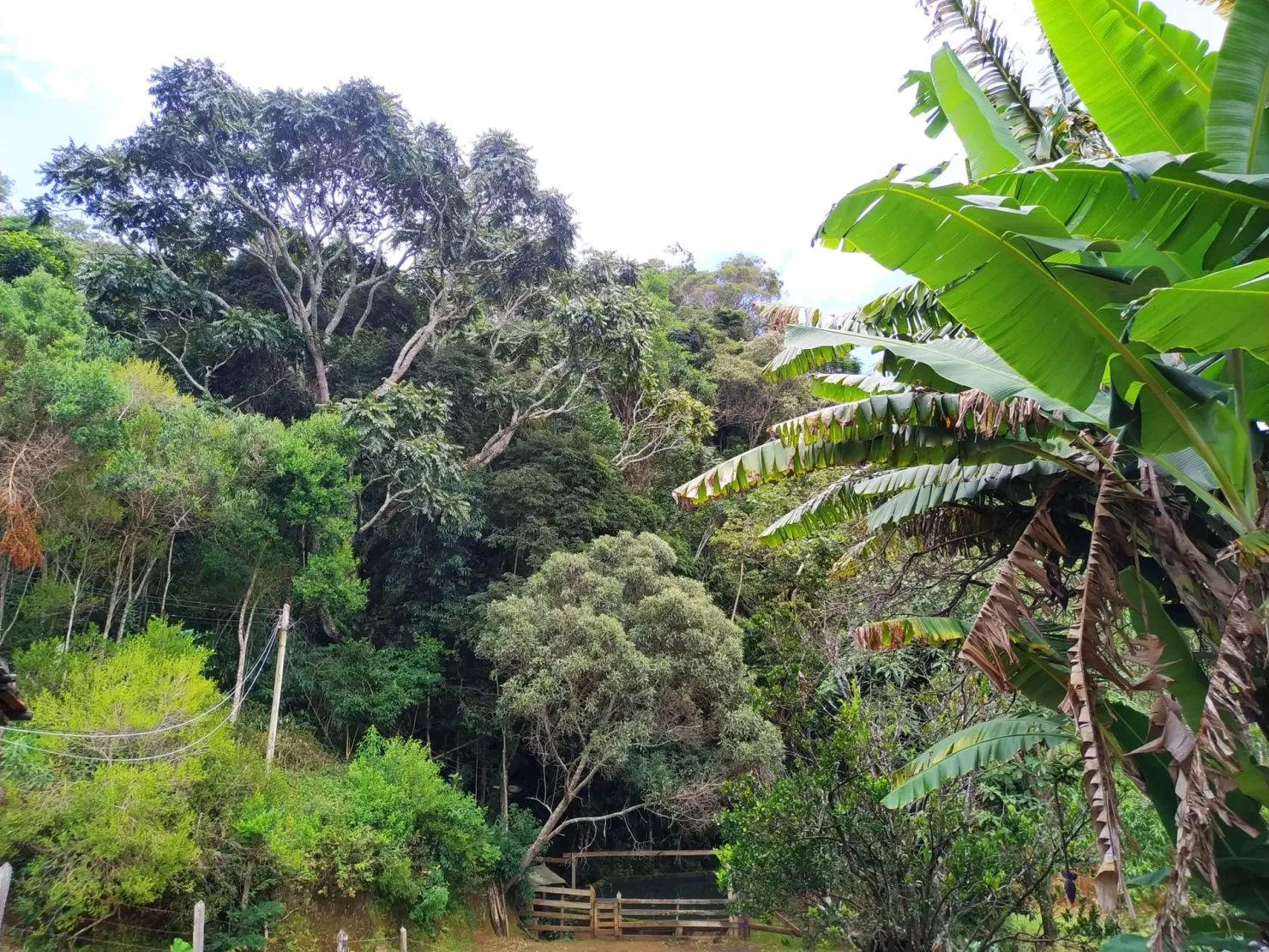 Imagem Chácara à venda 3 Quartos, 1 Suite, 1 Vaga, 121000M², Bairro dos Macacos, Silveiras - SP