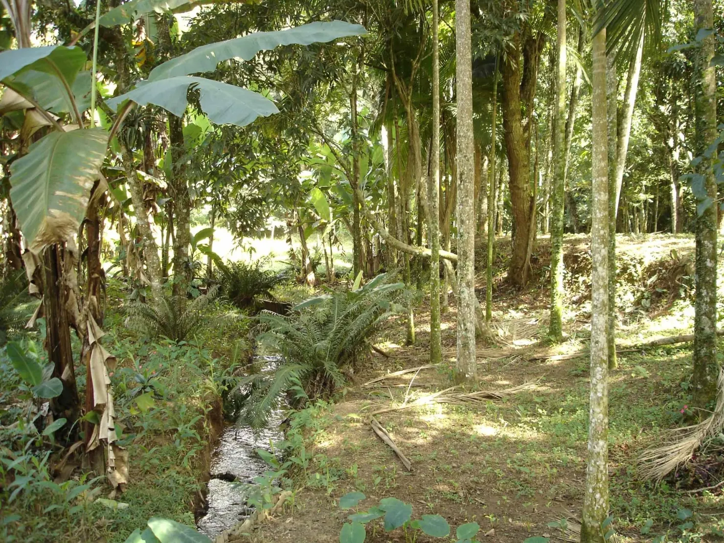 Imagem Sítio à venda 3 Quartos, 49000M², Ribeirão Grande, Pindamonhangaba - SP