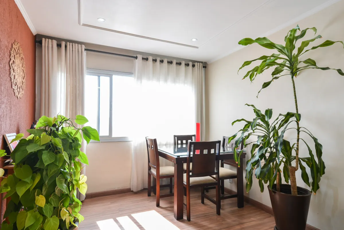 Imagem Apartamento para venda em Vila Moinho Velho com 2 quartos, 64m2