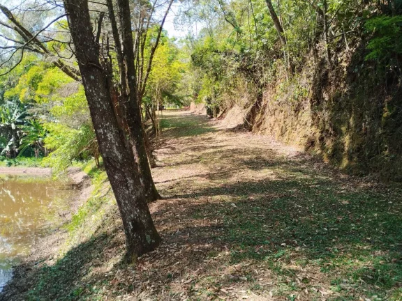 Imagem Sítio 36 mil m² Piracaia Asfalto e Escritura Estuda Proposta!!
