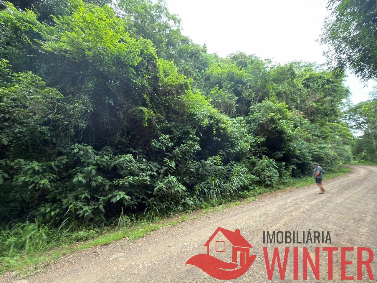 Foto do imóvel Area com 10.571 m2 no São Roque, Feliz