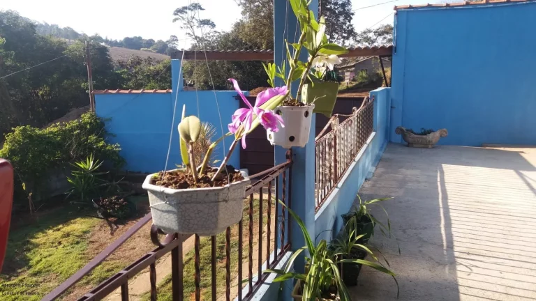 Imagem CHACARA RURAL em CALDAS - MG, LARANJEIRAS