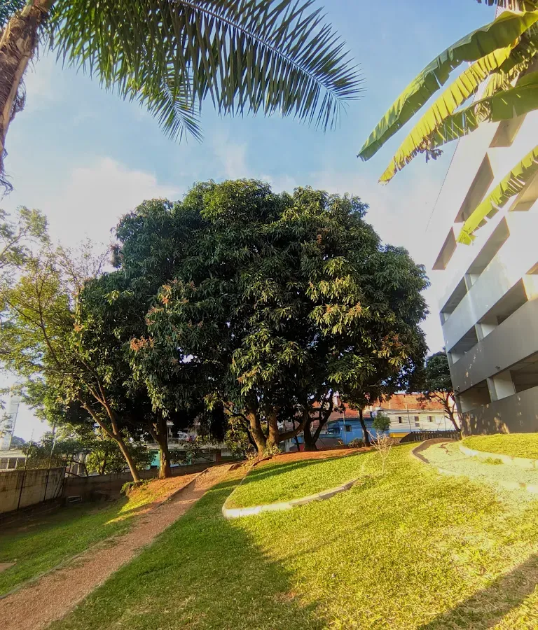 Imagem VENDO LINDO APARTAMENTO NO BAIRRO PIRAPORINHA EM DIADEMA!