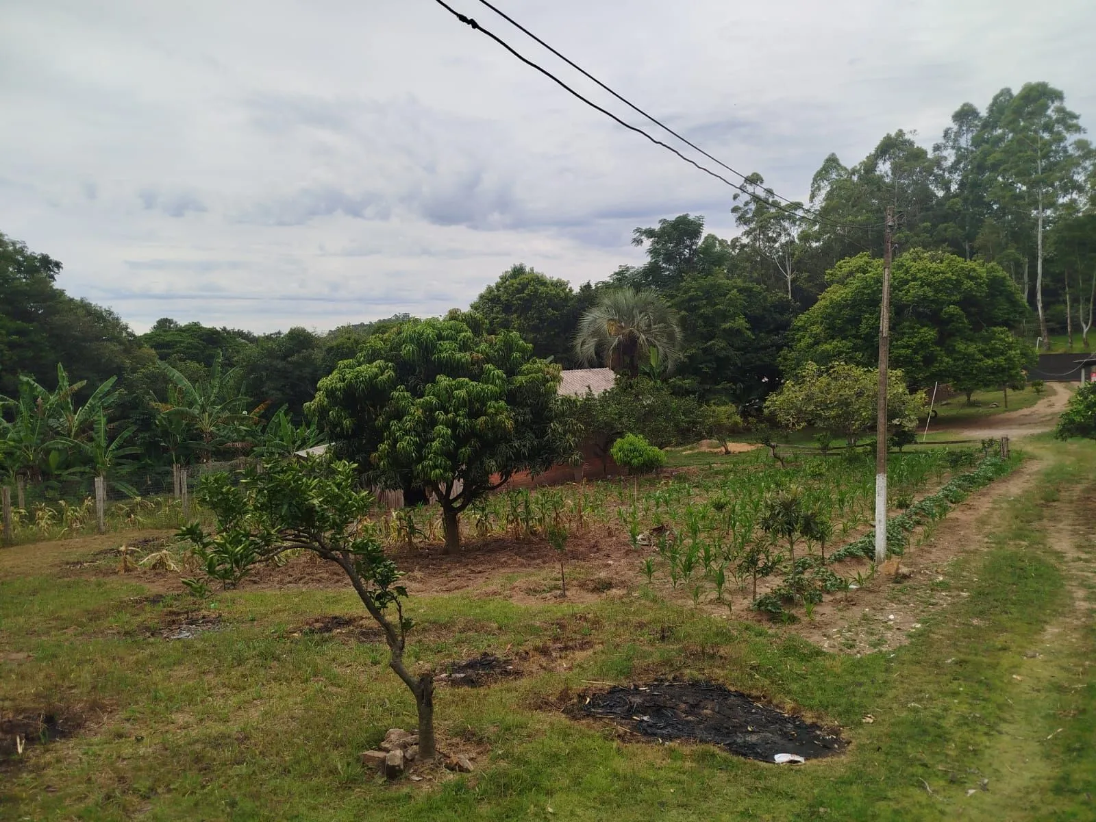 Imagem Chácara no bairro Restinga