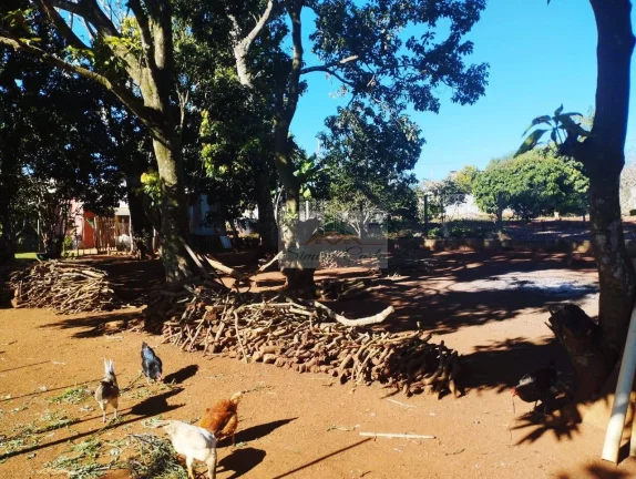 Imagem CHÁCARA REUNIDAS PILAR DO SUL