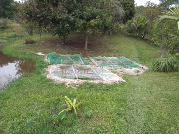Imagem Sítio a venda em Jacupiranga, estrada do Padre André, interior de São Paulo. O Sítio mede 7, 2 h...