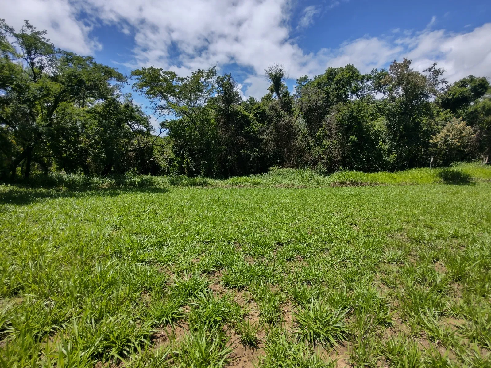 Imagem Terreno à Venda no Condomínio Residencial Valle dos Cervos II ? Araçoiaba da Serra