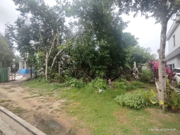 Imagem TERRENO RESIDENCIAL em MANAUS - AM, PONTA NEGRA