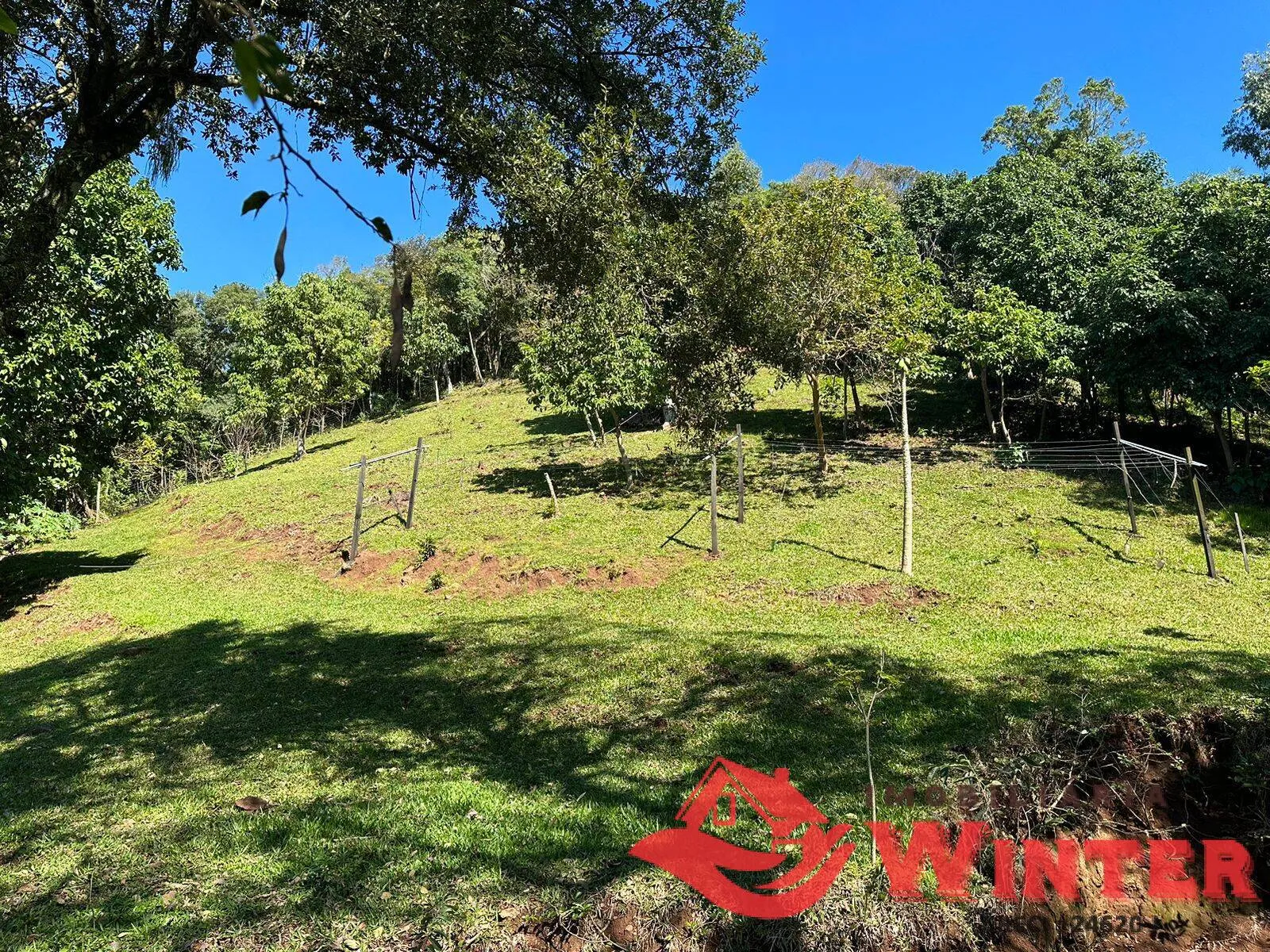 Imagem Area de terras com linda vista pra cidade de Feliz!