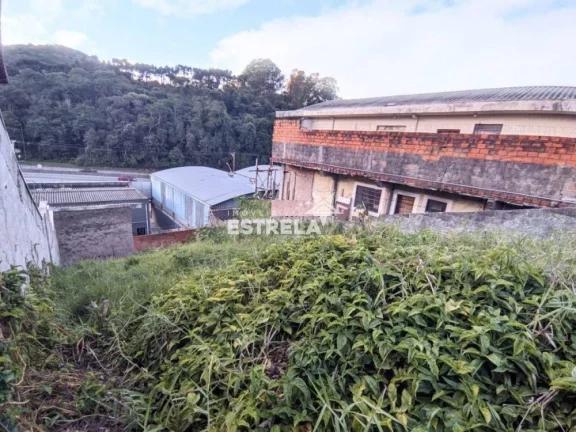 Imagem Terreno Residencial de 250m² na Granja Carolina - Cotia/SP