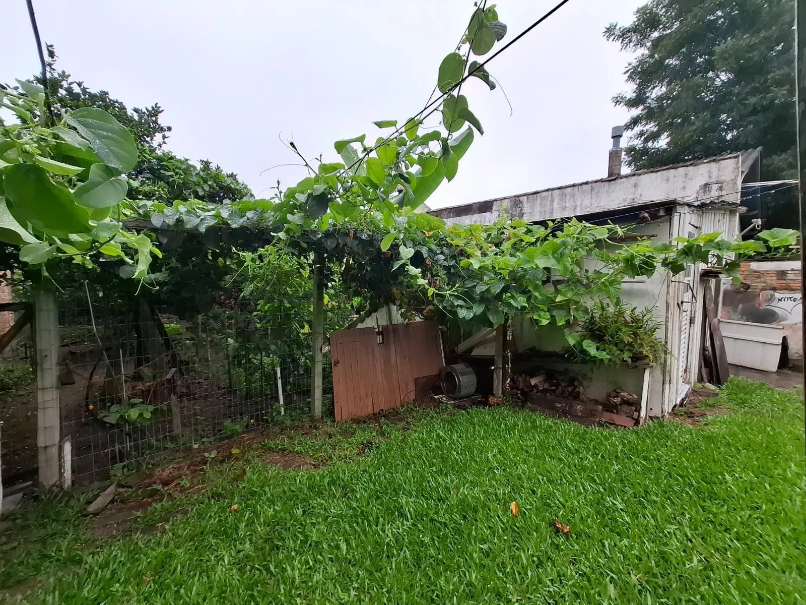 Imagem Oportunidade Imperdível - Terreno com 3 casas no Bairro Serraria Porto Alegre/RS