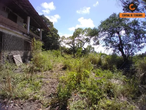 Imagem TERRENO EM MUSSURUNGA