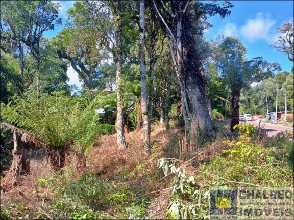 Imagem TERRENO RESIDENCIAL em Gramado - RS, Carniel
