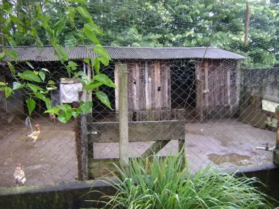 Imagem Chácara Atibaia 100% plana rio pertinho do asfalto!