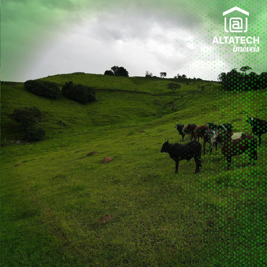 Imagem Sítio 150.000 m² à venda em Roseira, Bandeira do Sul