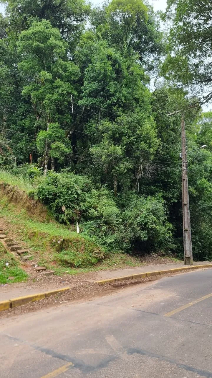 Imagem Terreno à venda em Gramado, Moura, 1027.65m2