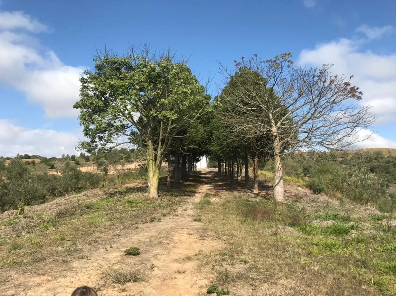 Imagem Chácara à venda Pinhal Novo, Lorena - SP