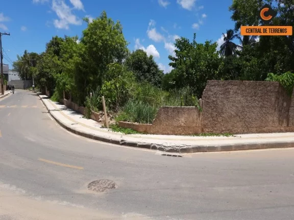 Imagem TERRENO EM ABRANTES