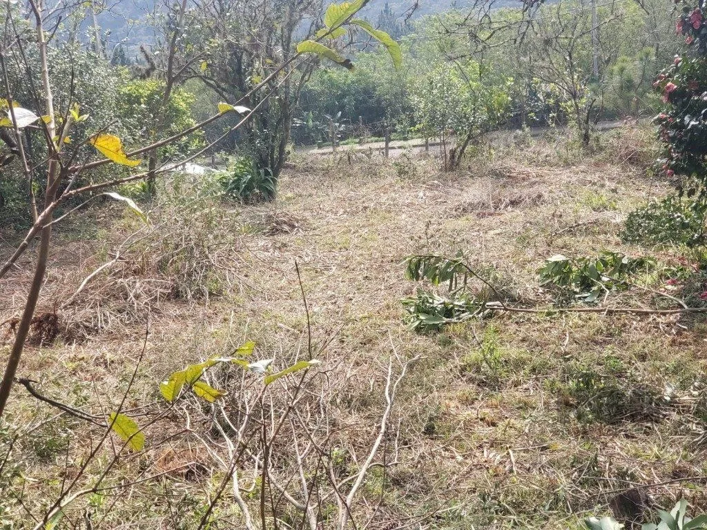 Imagem Terreno em Vila Nova
