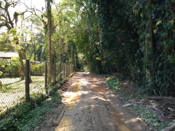 Imagem Olha essa linda oportunidade no sertão do cambury já 100 metros do calçamento