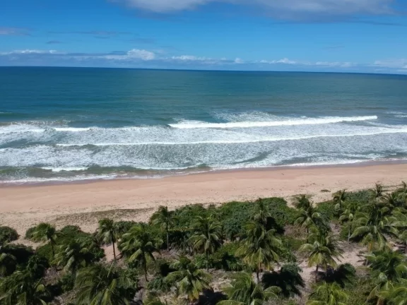 Imagem Paraíso frente mar
